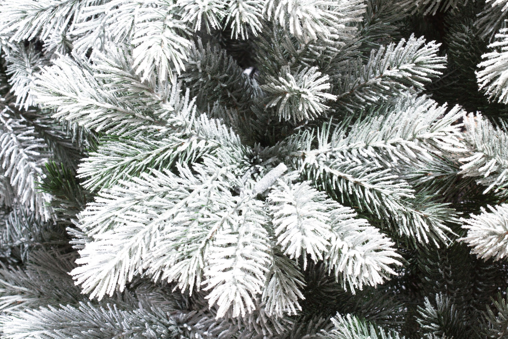 картинка Ель «Летиция с освещением заснеженная» напольная