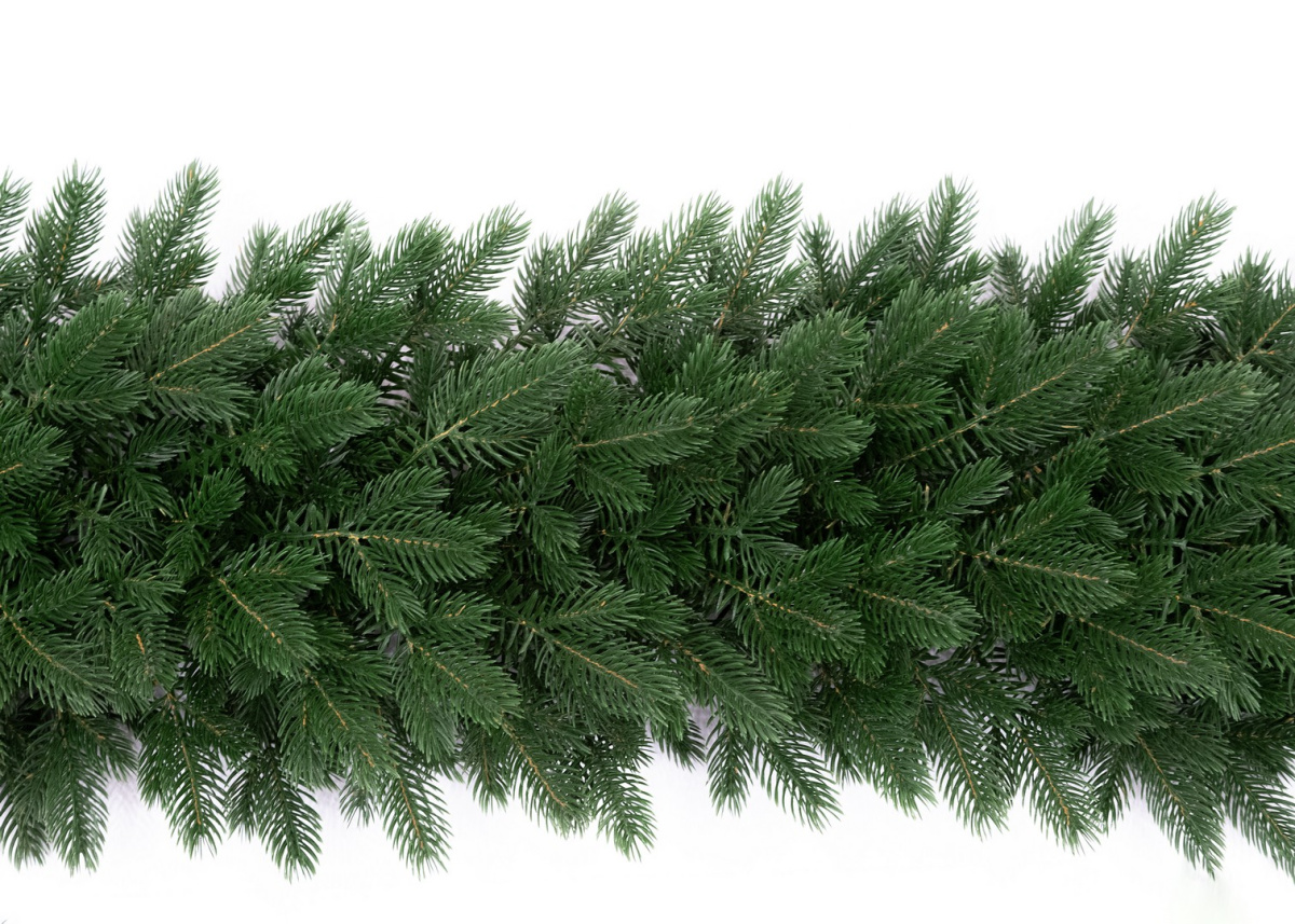 картинка Ветка Лиана