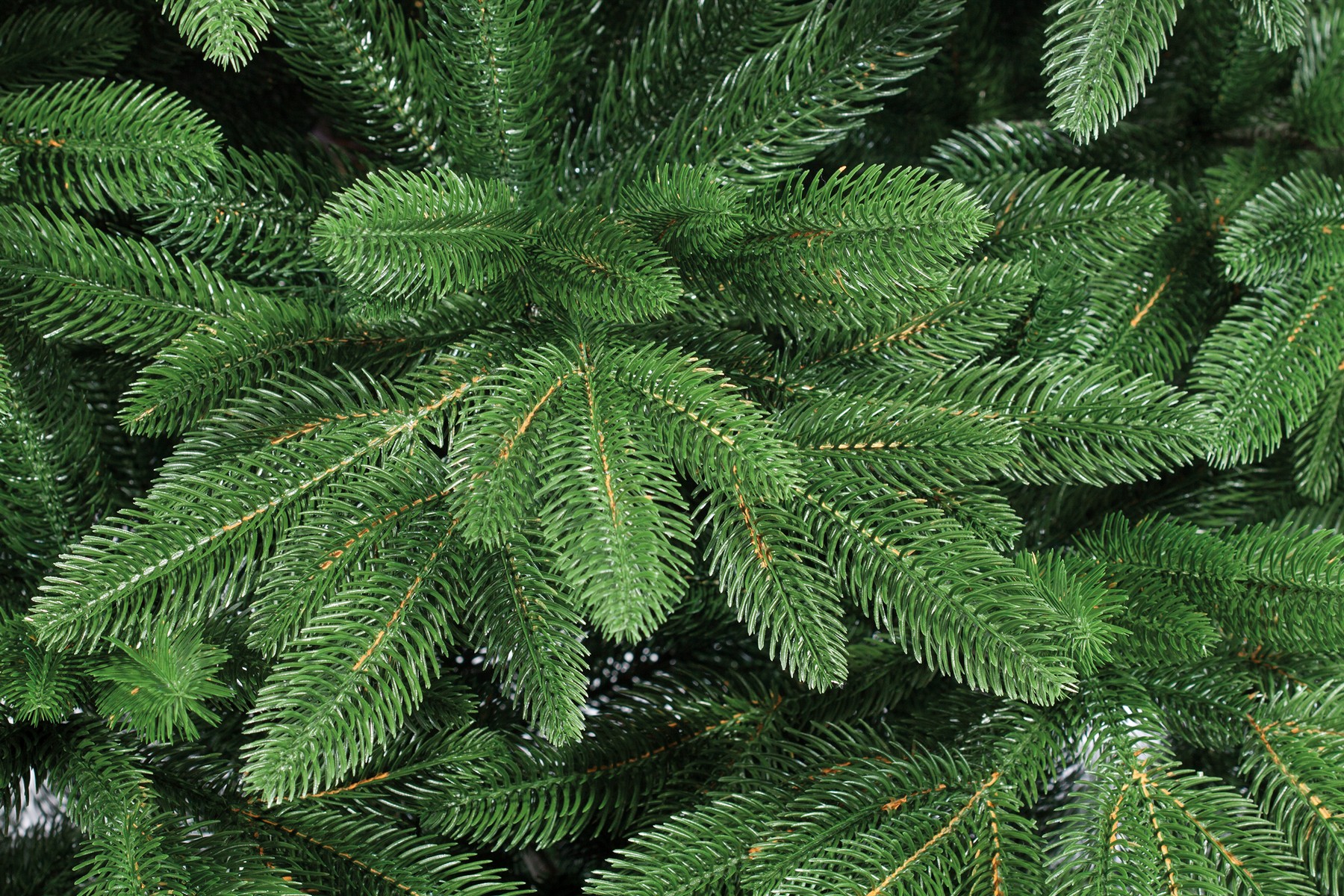 картинка Ель «Мелодия Рождества» напольная