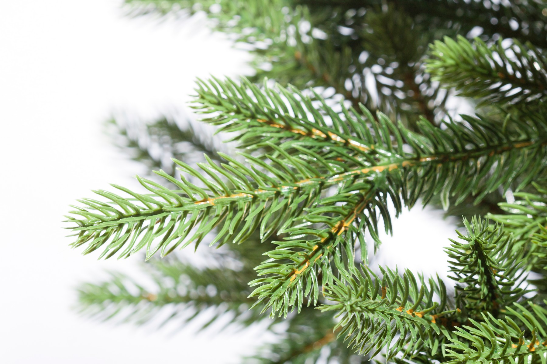 картинка Ель «Фея Премиум» напольная